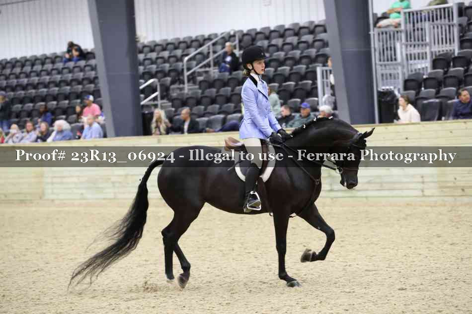 Proof 23R13_06924
