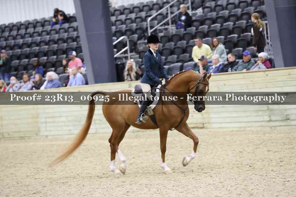 Proof 23R13_06925