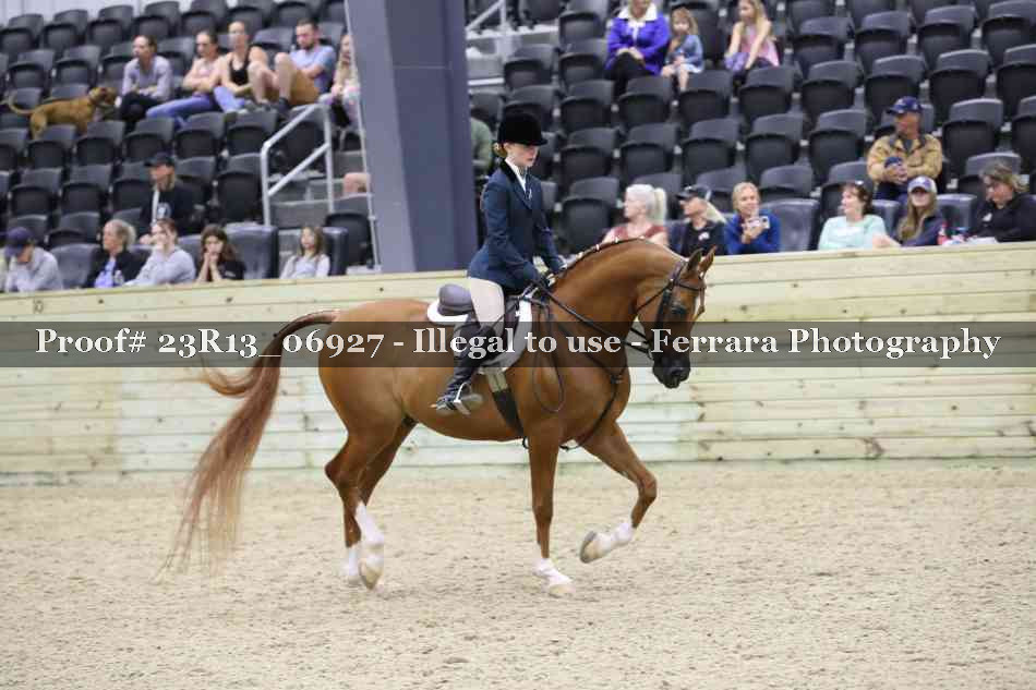 Proof 23R13_06927