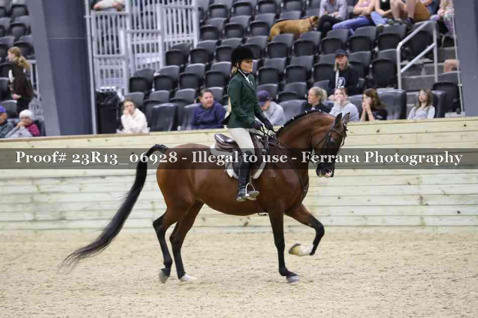 Proof 23R13_06928