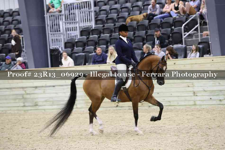 Proof 23R13_06929