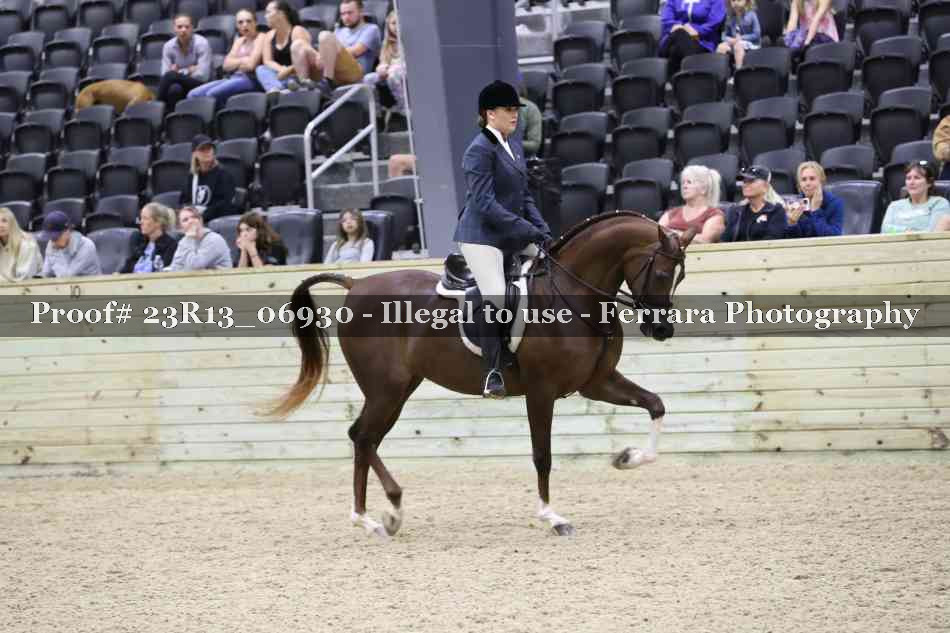 Proof 23R13_06930