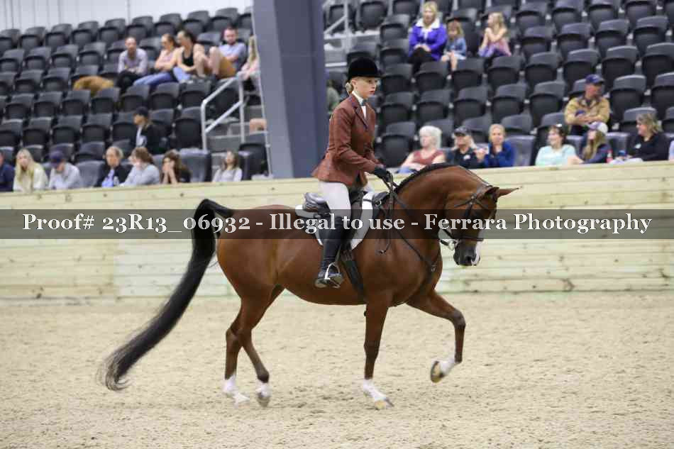 Proof 23R13_06932