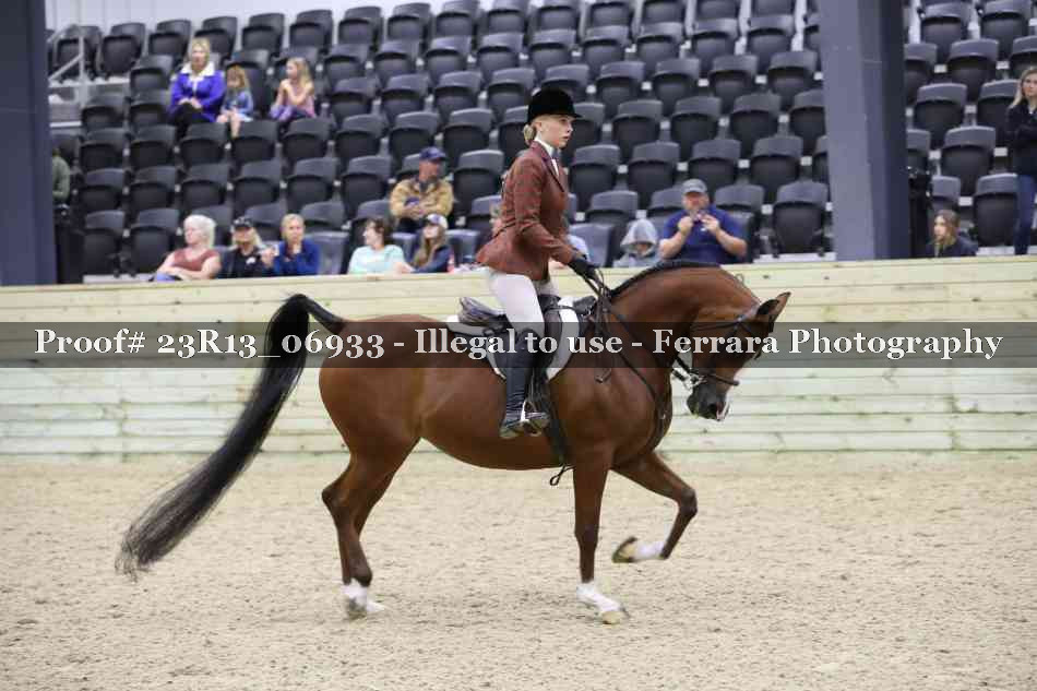 Proof 23R13_06933