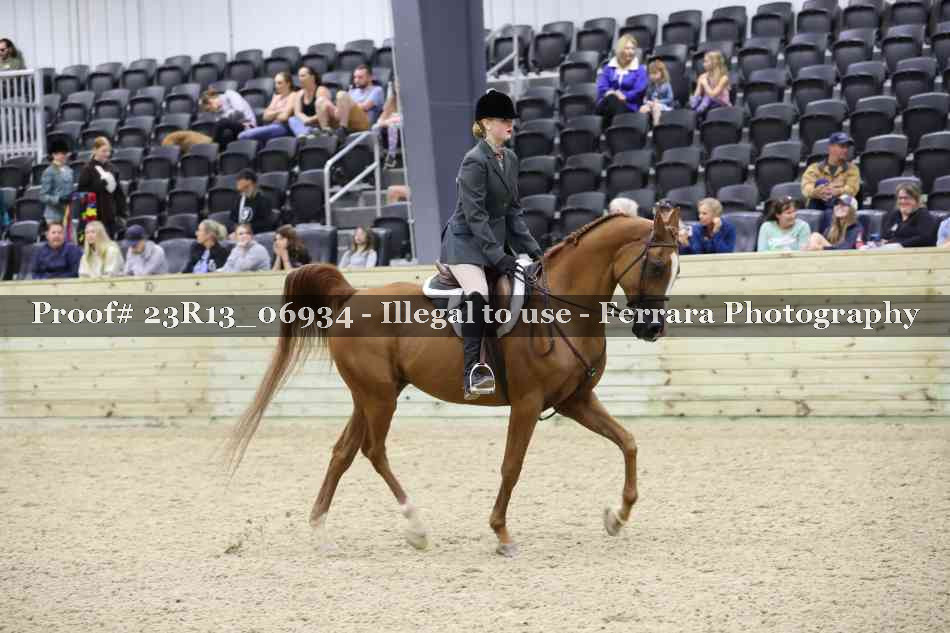 Proof 23R13_06934