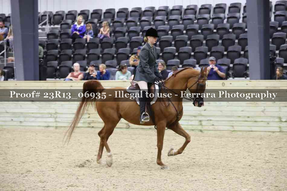 Proof 23R13_06935