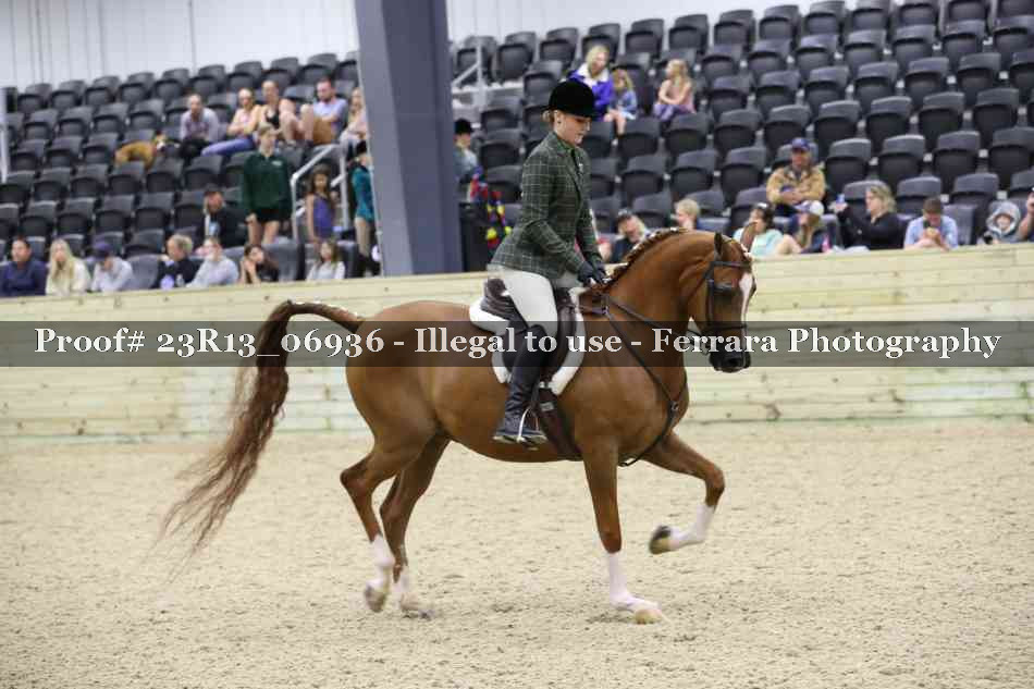 Proof 23R13_06936