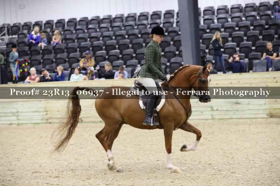 Proof 23R13_06937