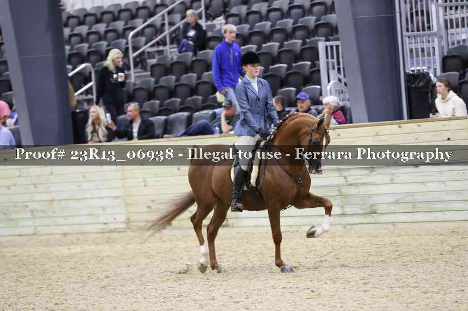 Proof 23R13_06938