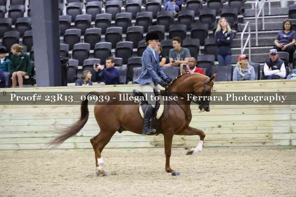 Proof 23R13_06939