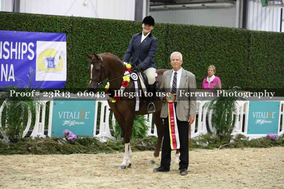 Proof 23R13_06943