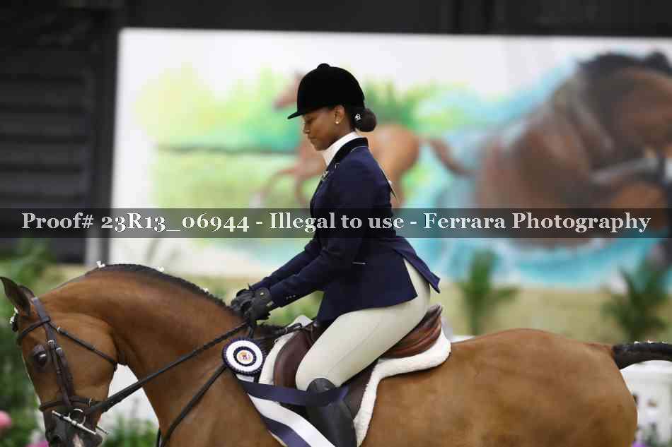 Proof 23R13_06944