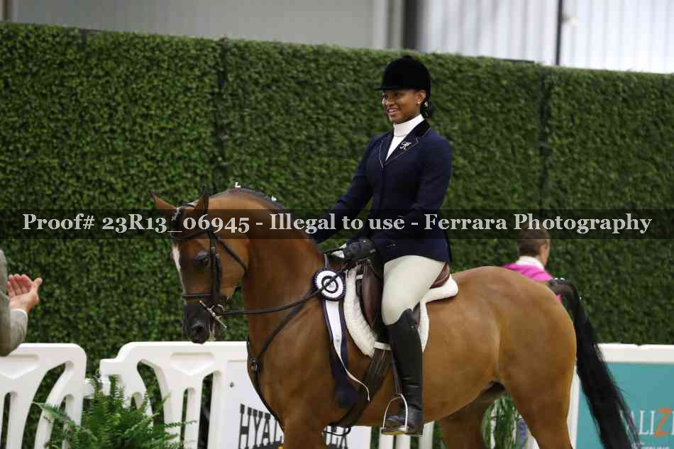 Proof 23R13_06945