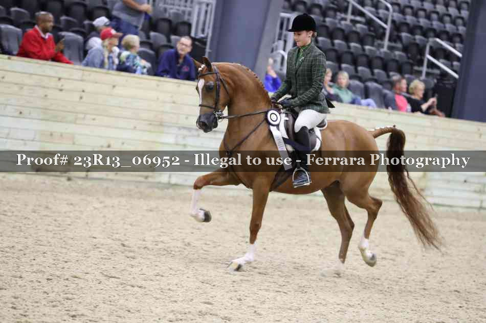 Proof 23R13_06952