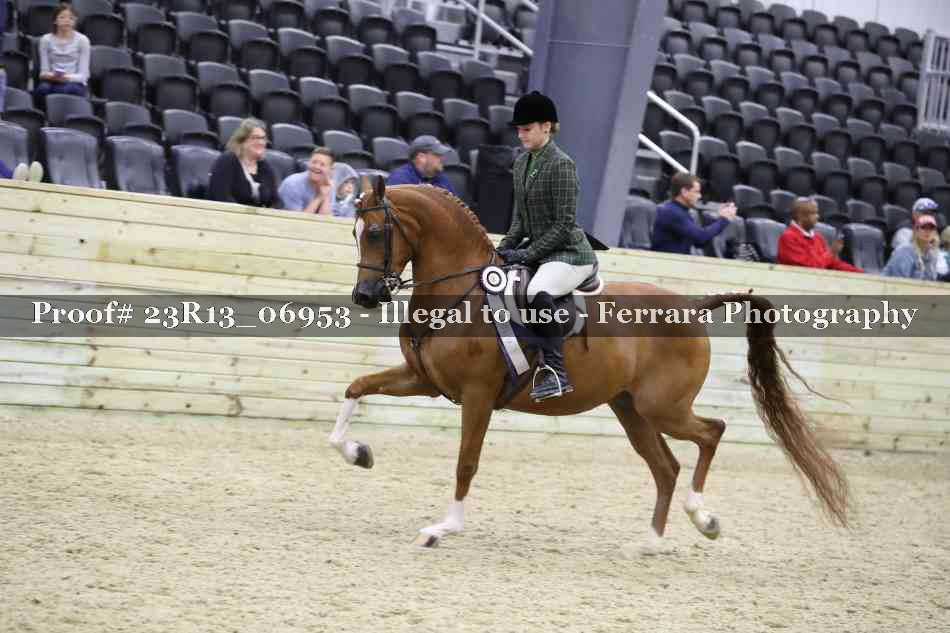 Proof 23R13_06953