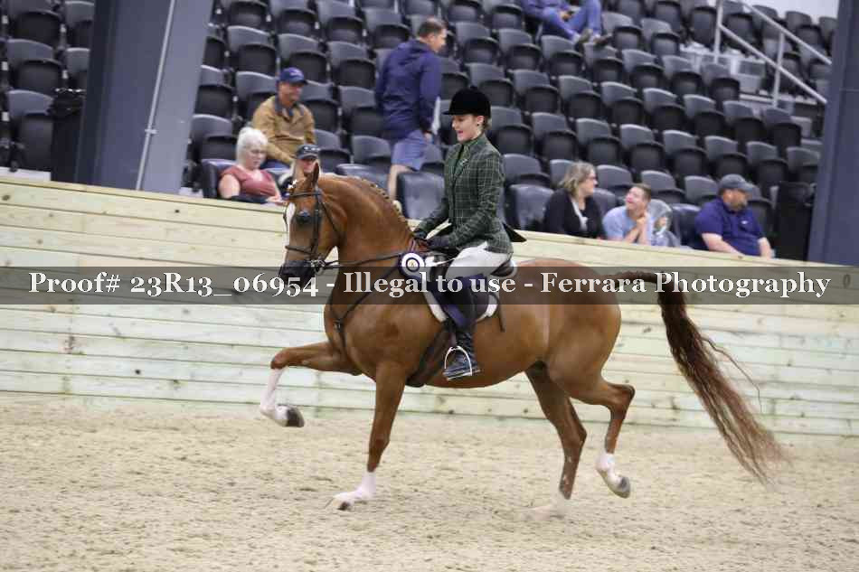 Proof 23R13_06954