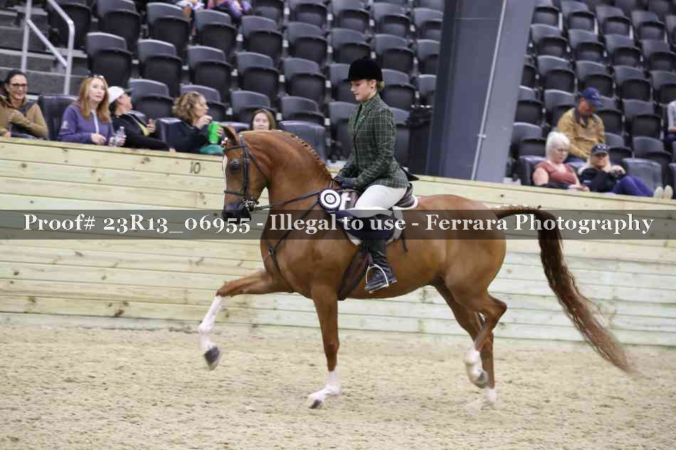 Proof 23R13_06955