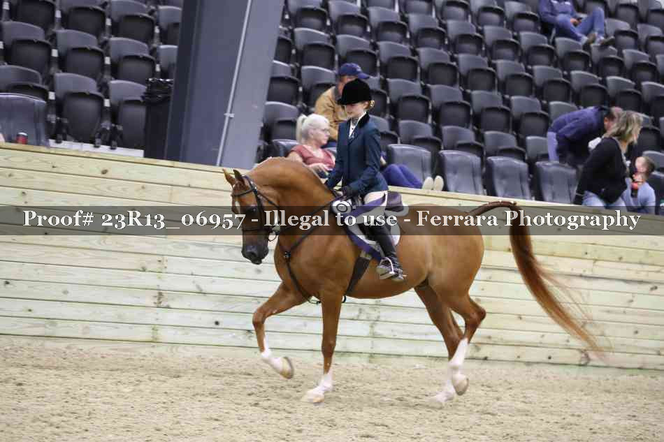 Proof 23R13_06957