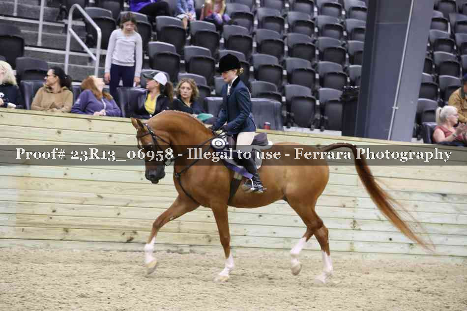 Proof 23R13_06958
