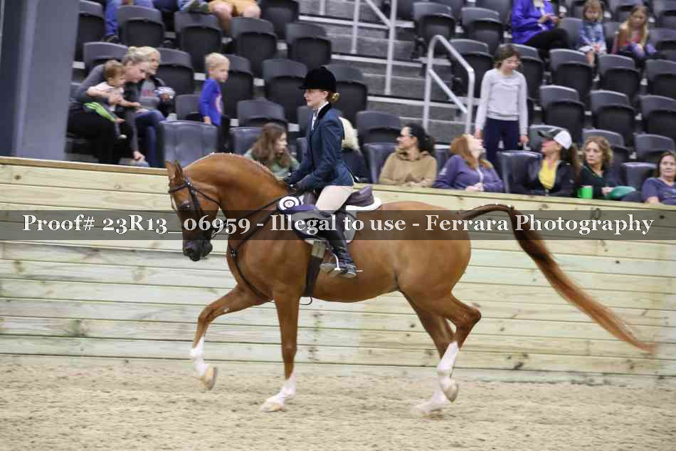 Proof 23R13_06959