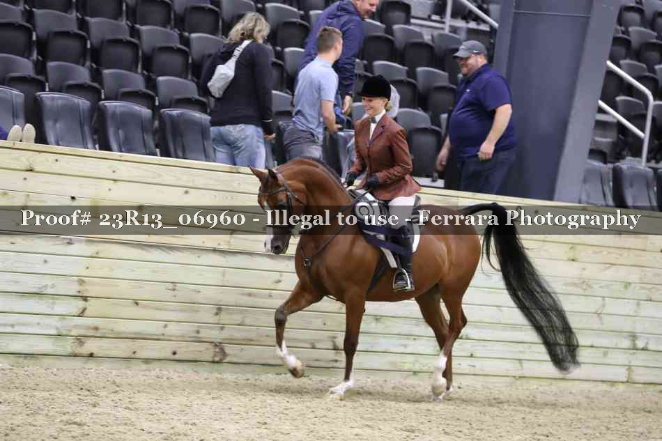 Proof 23R13_06960