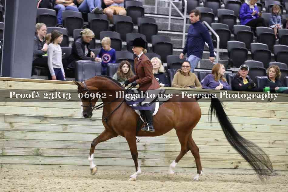 Proof 23R13_06962