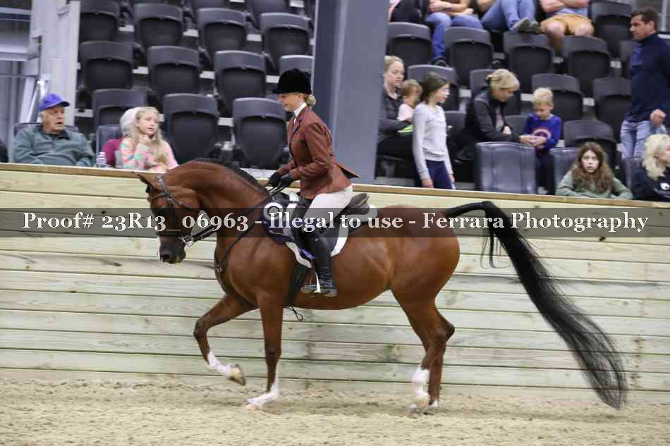 Proof 23R13_06963