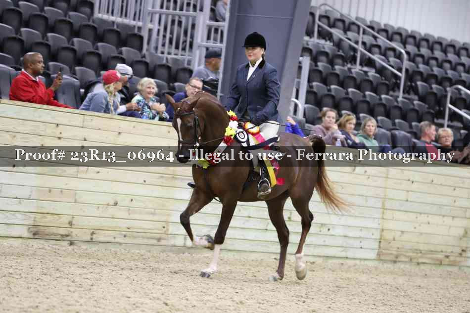 Proof 23R13_06964