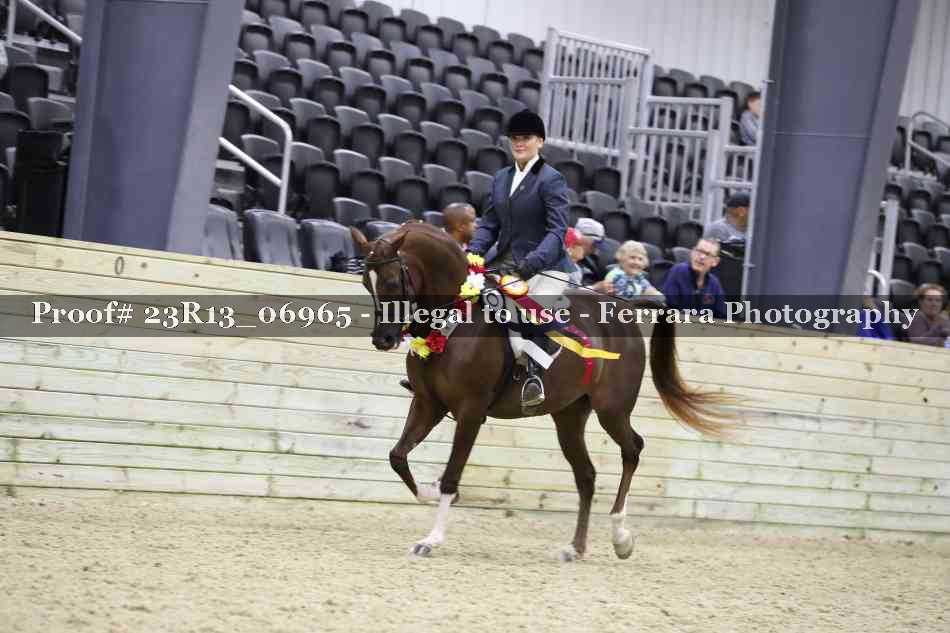 Proof 23R13_06965