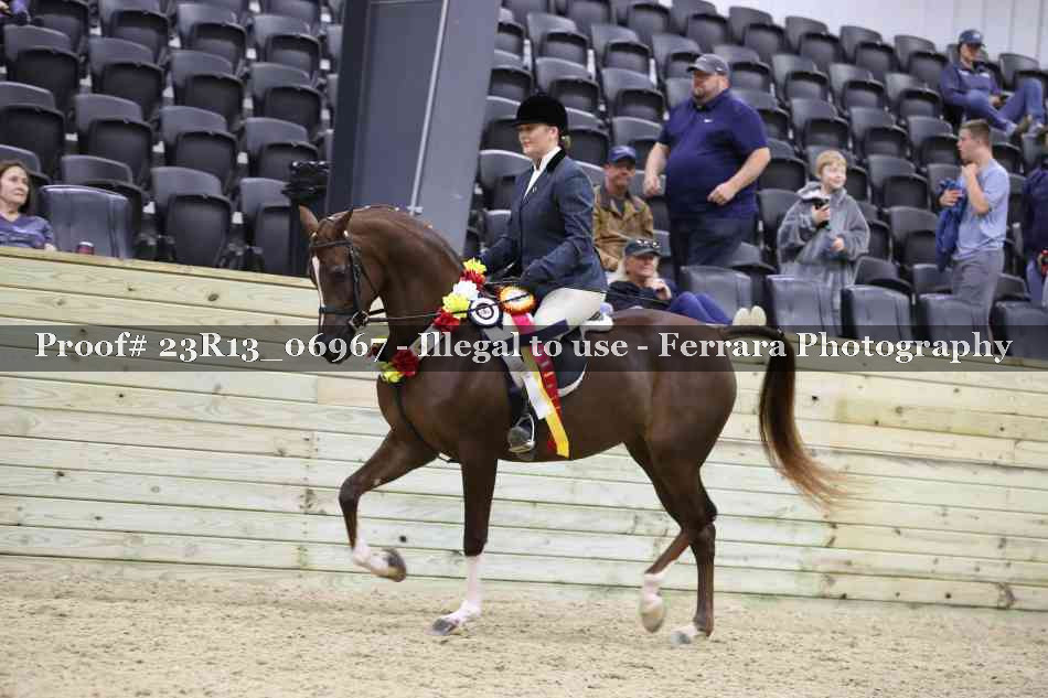 Proof 23R13_06967