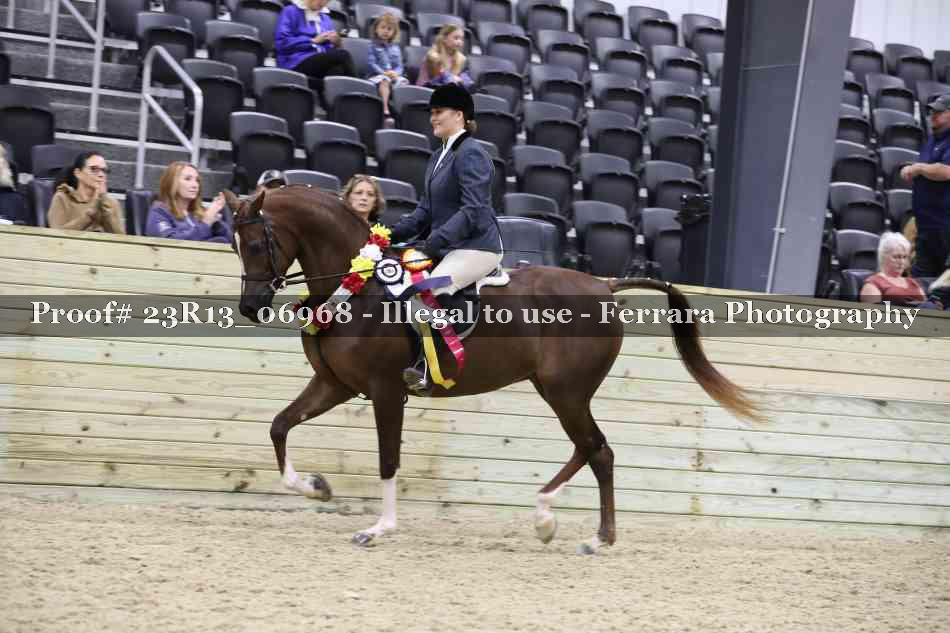 Proof 23R13_06968