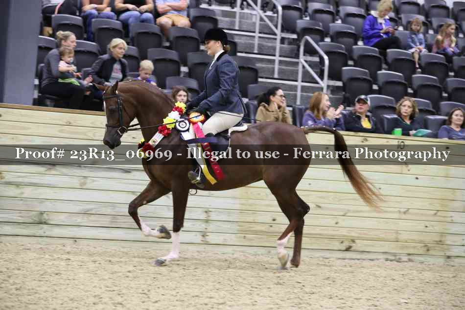 Proof 23R13_06969