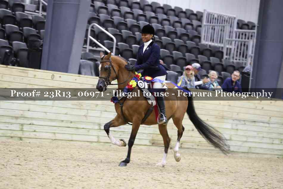 Proof 23R13_06971