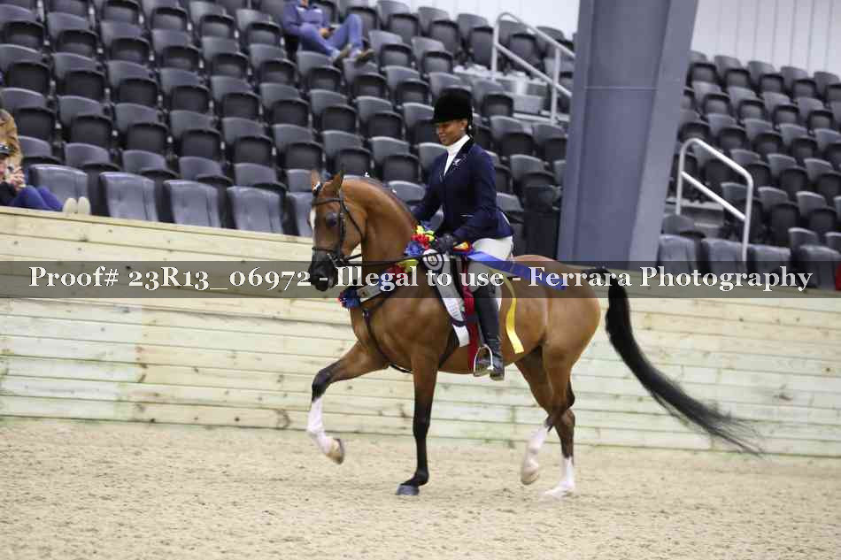 Proof 23R13_06972