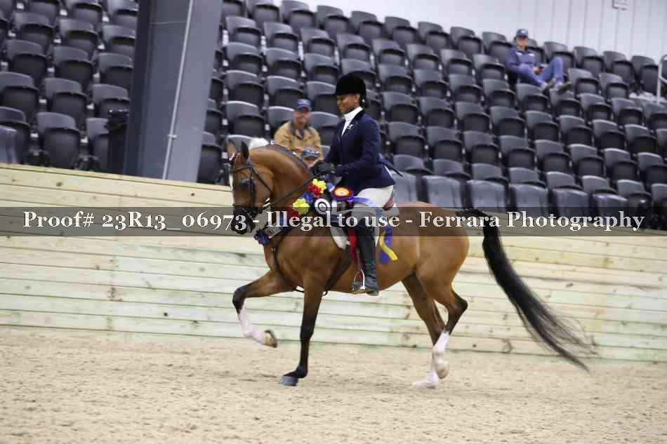 Proof 23R13_06973