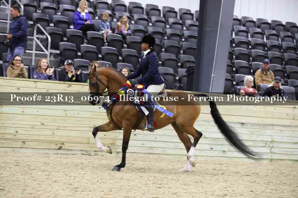 Proof 23R13_06974