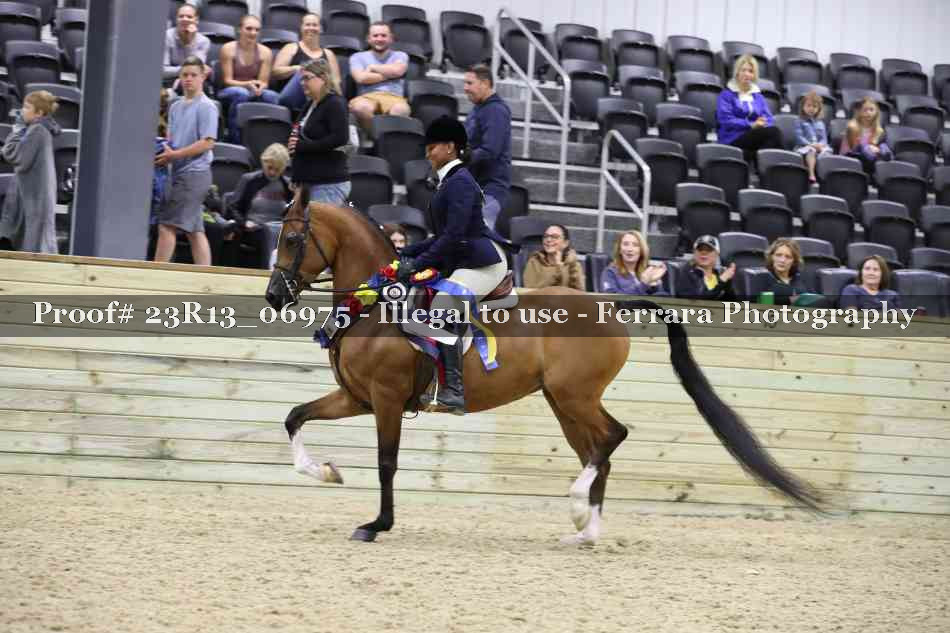 Proof 23R13_06975