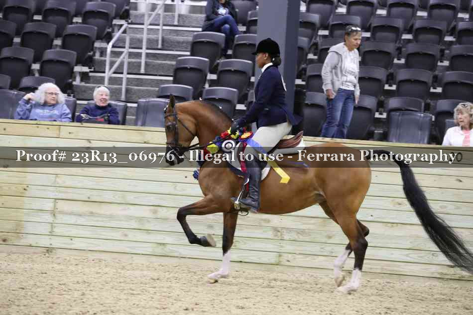 Proof 23R13_06976