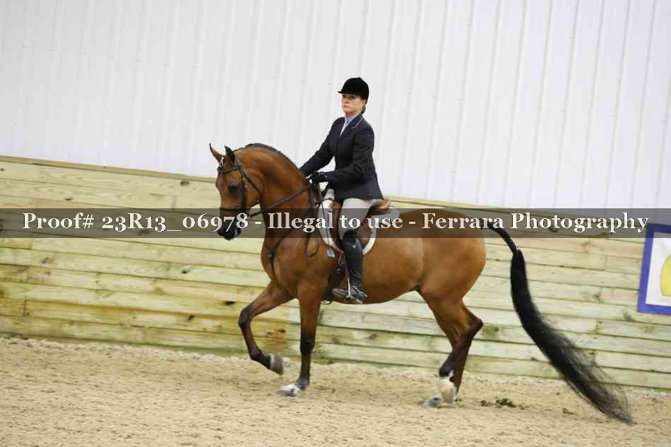 Proof 23R13_06978