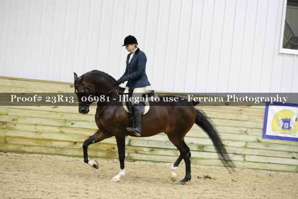 Proof 23R13_06981