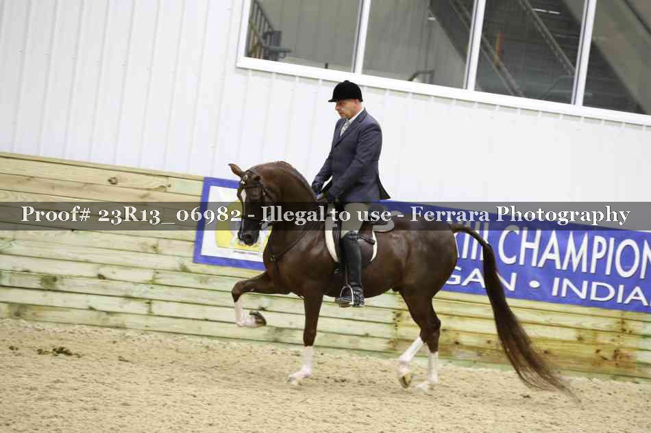 Proof 23R13_06982