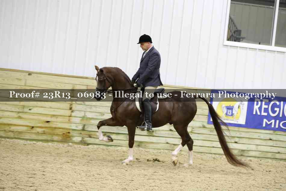Proof 23R13_06983