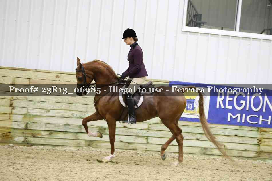 Proof 23R13_06985