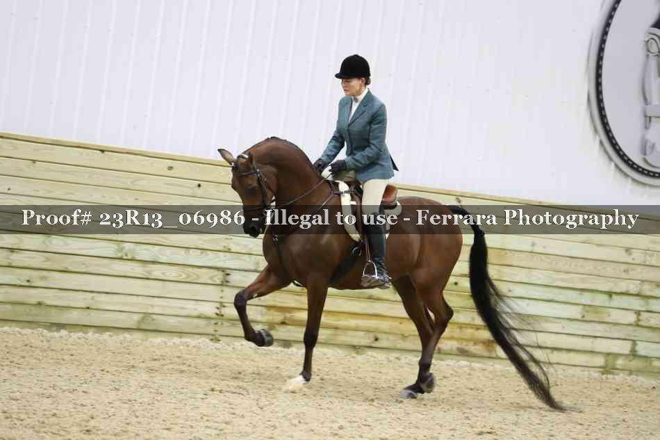 Proof 23R13_06986