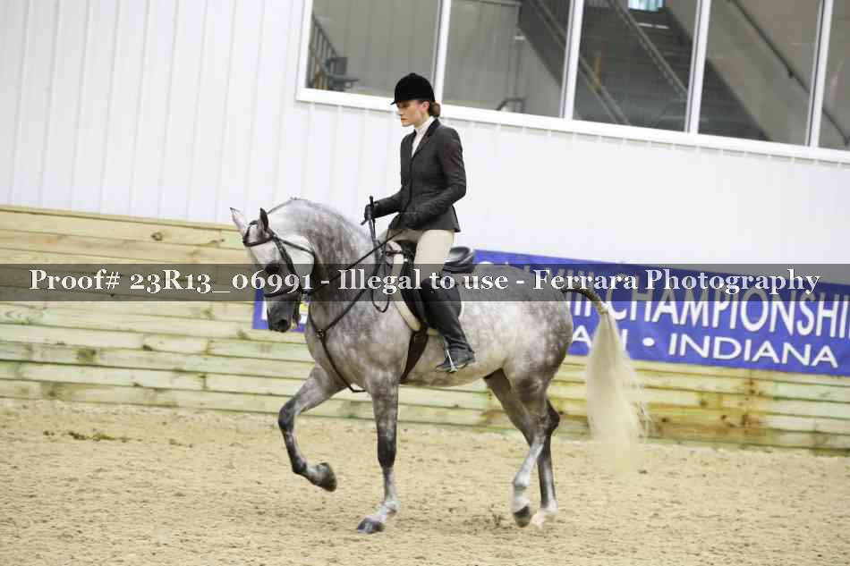 Proof 23R13_06991
