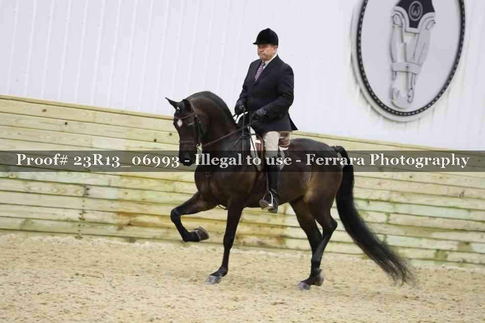 Proof 23R13_06993