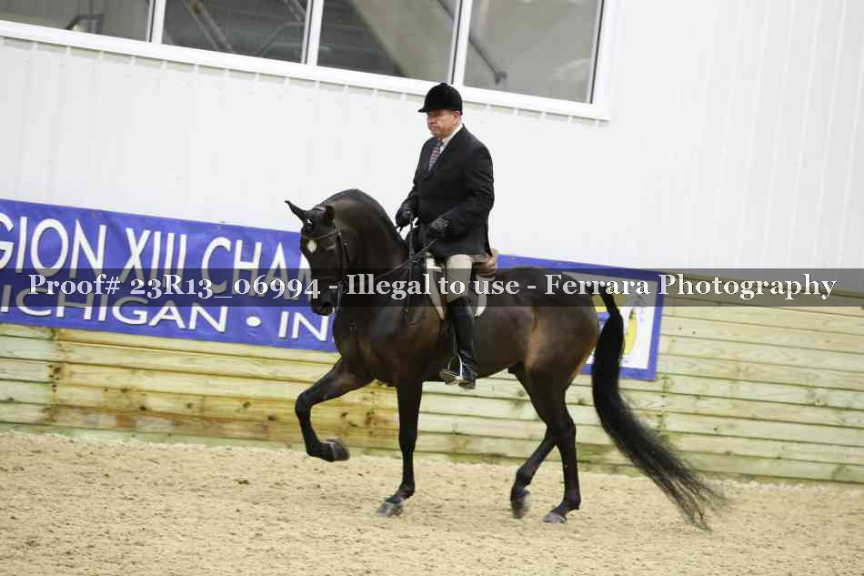Proof 23R13_06994