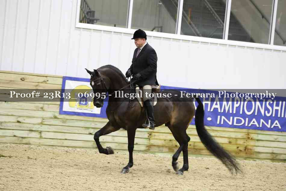 Proof 23R13_06995