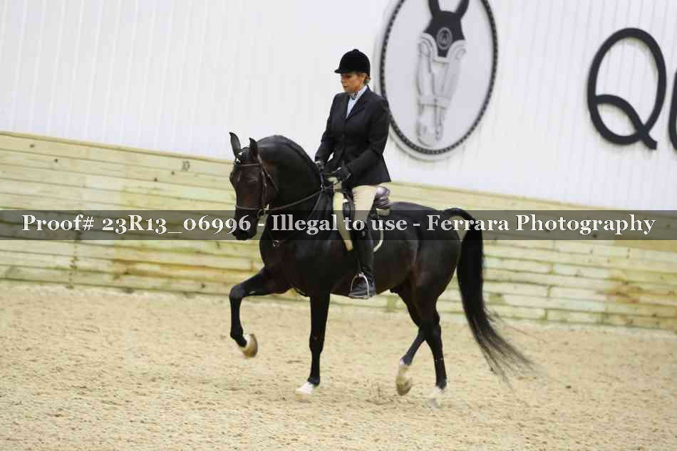 Proof 23R13_06996