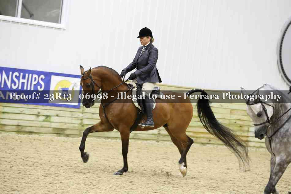Proof 23R13_06998